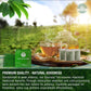 VERDIVIBE Soursop Leaf Tea - Caffeine-Free Herbal Drink, 45 Tea Bags, Non-GMO, Gluten-Free