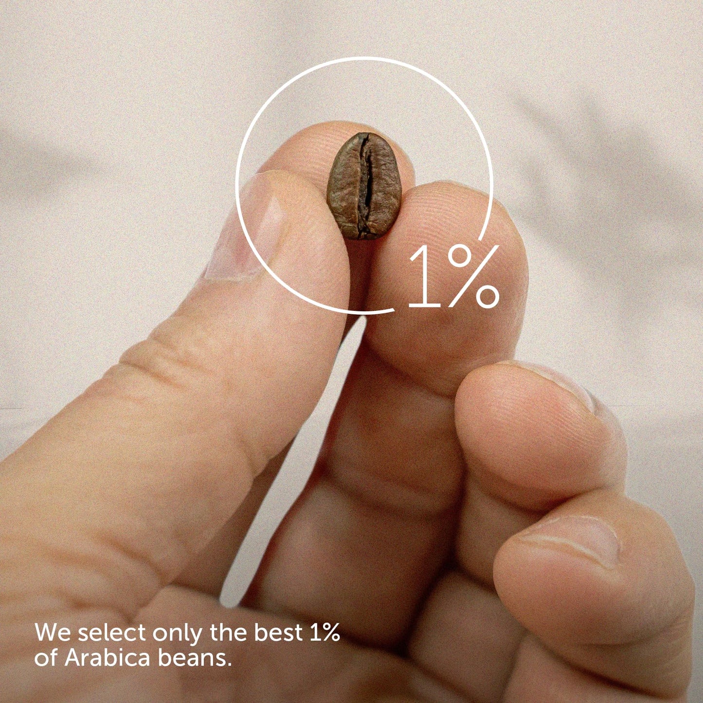 Illy Whole Bean Coffee - Perfectly Roasted Whole Coffee Beans - Brasile Bold Roast - Notes Of Caramel - Mild & Balanced - 100% A