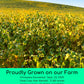 Palouse Brand Certified Glyphosate Residue Free Chickpeas | Garbanzo Beans | 5 lbs | Family Farmed in Washington State | Non-GMO