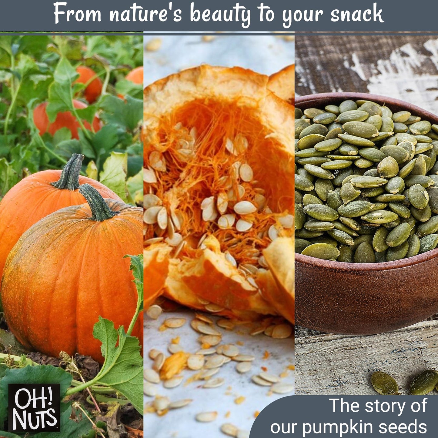Pumpkin Seeds | Roasted Salted | 2 lb | No Shell Pepitas | Packed in New York Zip-Seal Bag for Exceptional Freshness by Oh Nuts