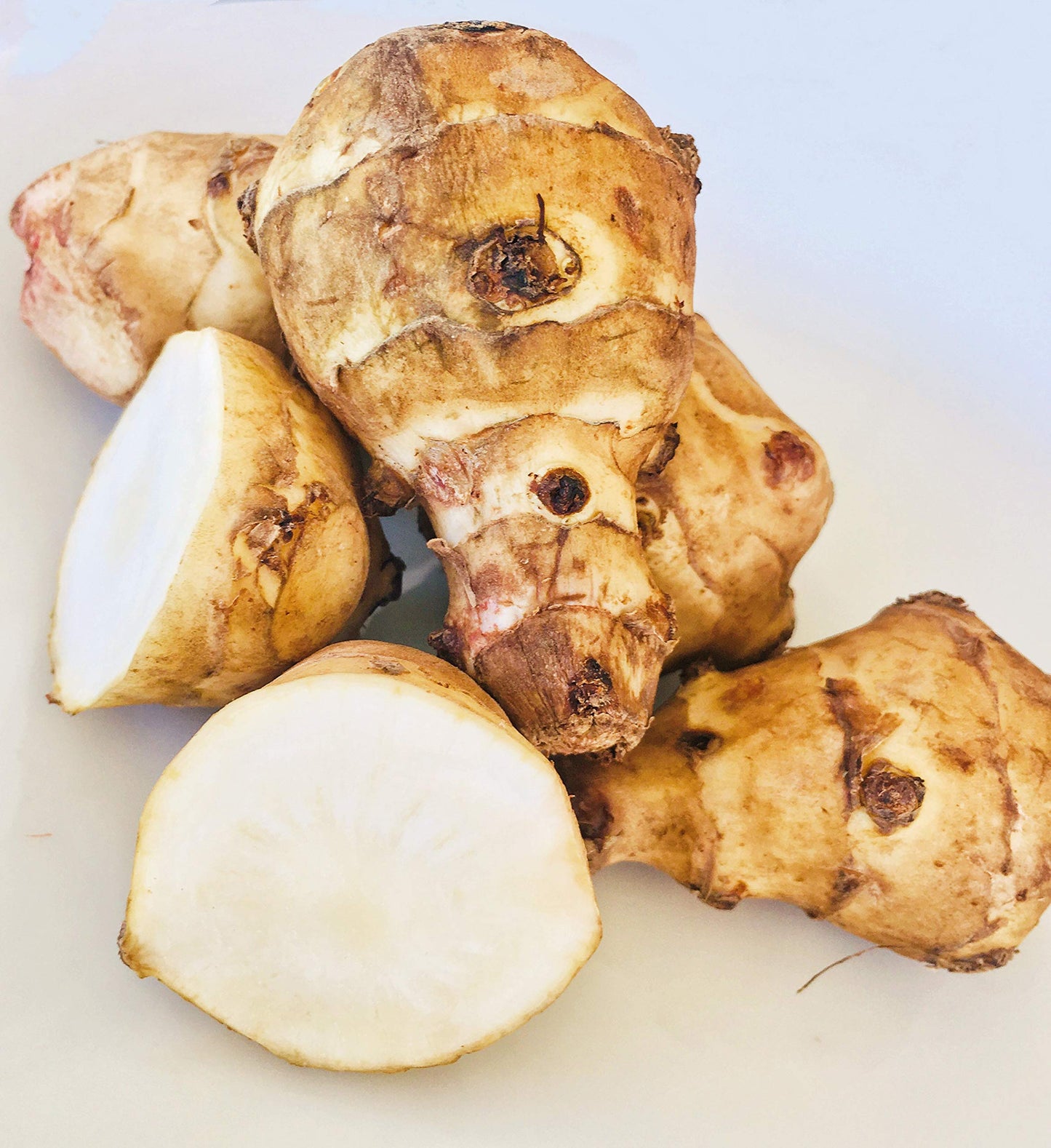 Kejora Fresh Jerusalem Artichokes (Sunchokes Or Sunroot) For Planting Or Eating - 4 Pounds Ship Fedex 2Nd Day Air