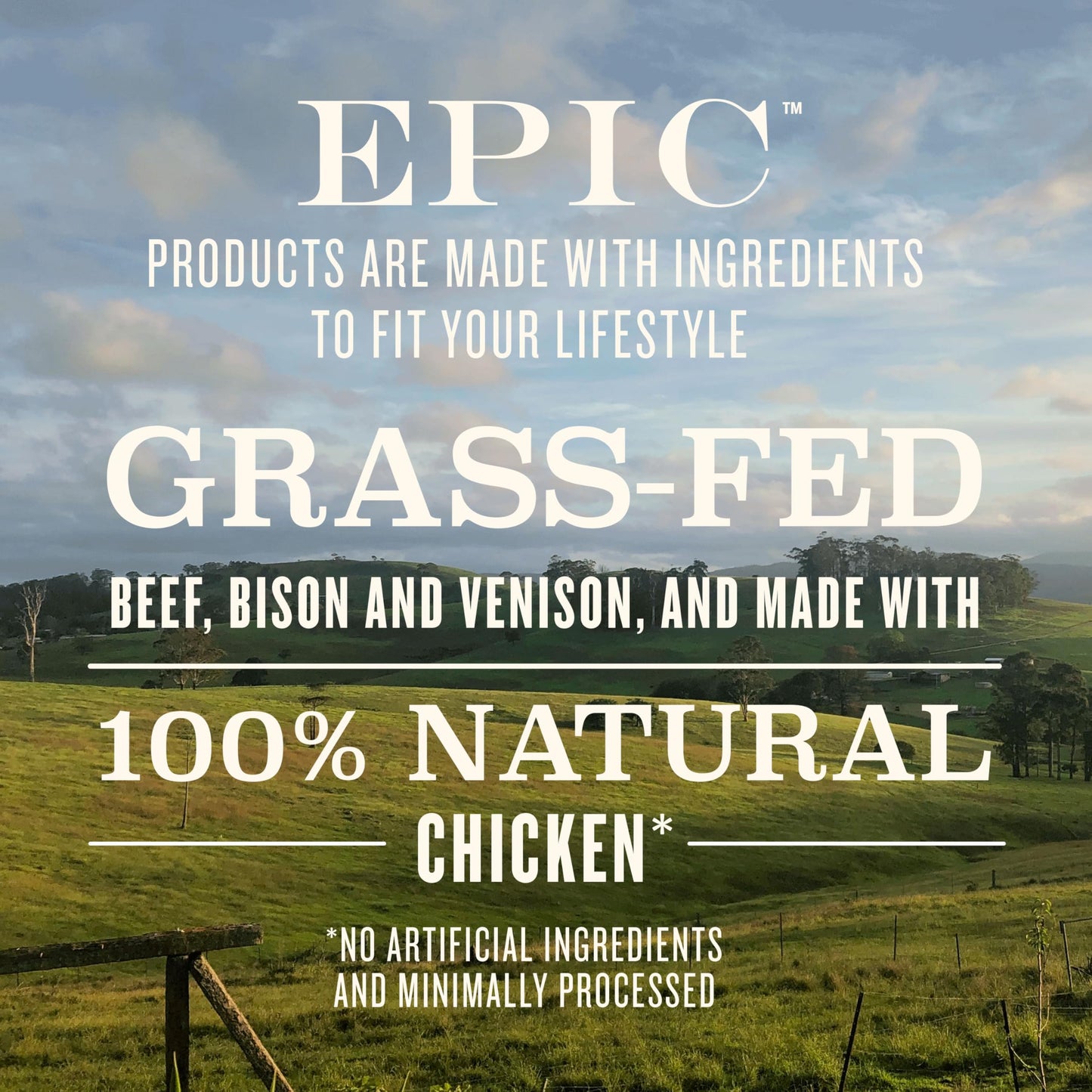 Epic Provisions Protein Bars Variety Pack, Venison, Chicken, Beef, Keto & Paleo Friendly, 12 Count