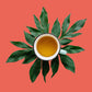 The Spice Hut Chocolate Mint Rooibos Tea Bags, Caffeine Free, 16 Count, Antioxidants, Hot & Iced Tea