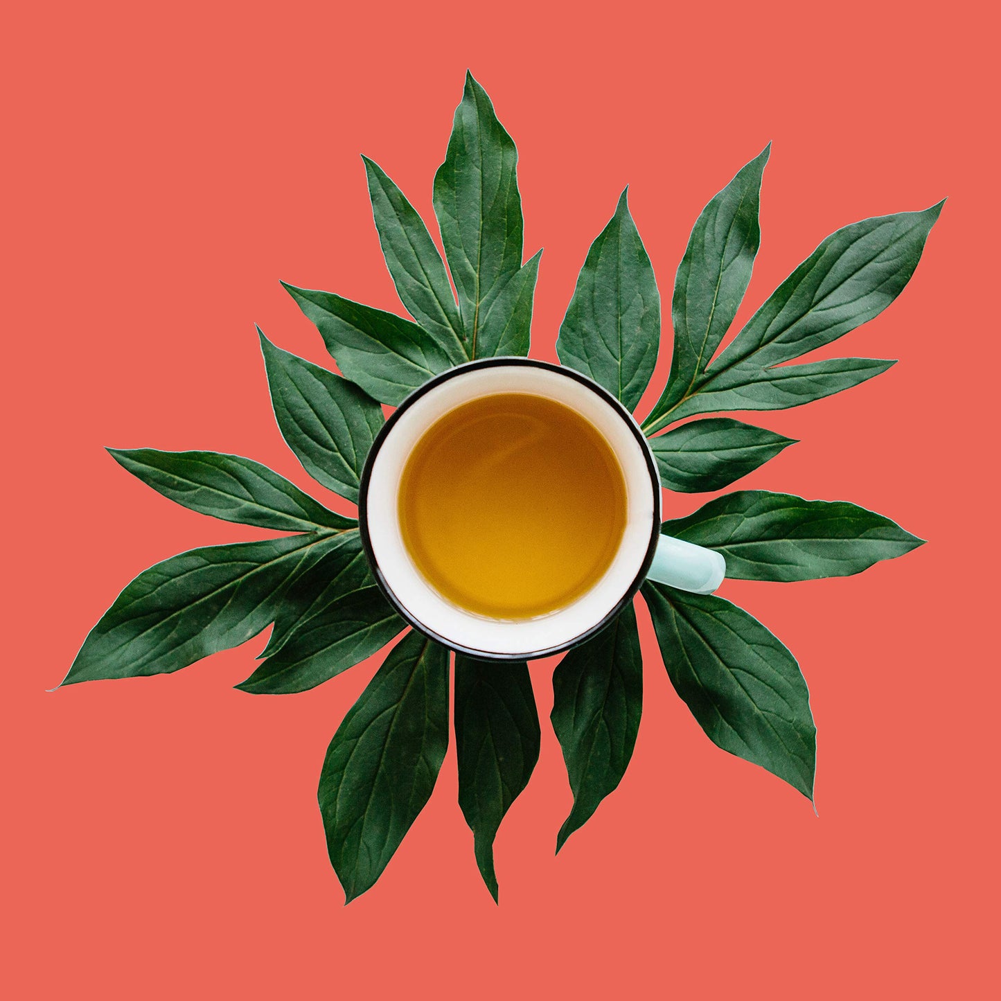The Spice Hut Chocolate Mint Rooibos Tea Bags, Caffeine Free, 16 Count, Antioxidants, Hot & Iced Tea