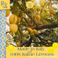 Perle di Sole Lemon Drops - Lemon Candy from Italy - Italian Gift - Italian Hard Candy Individually Wrapped (2.2 lbs | 1 kg) Ama
