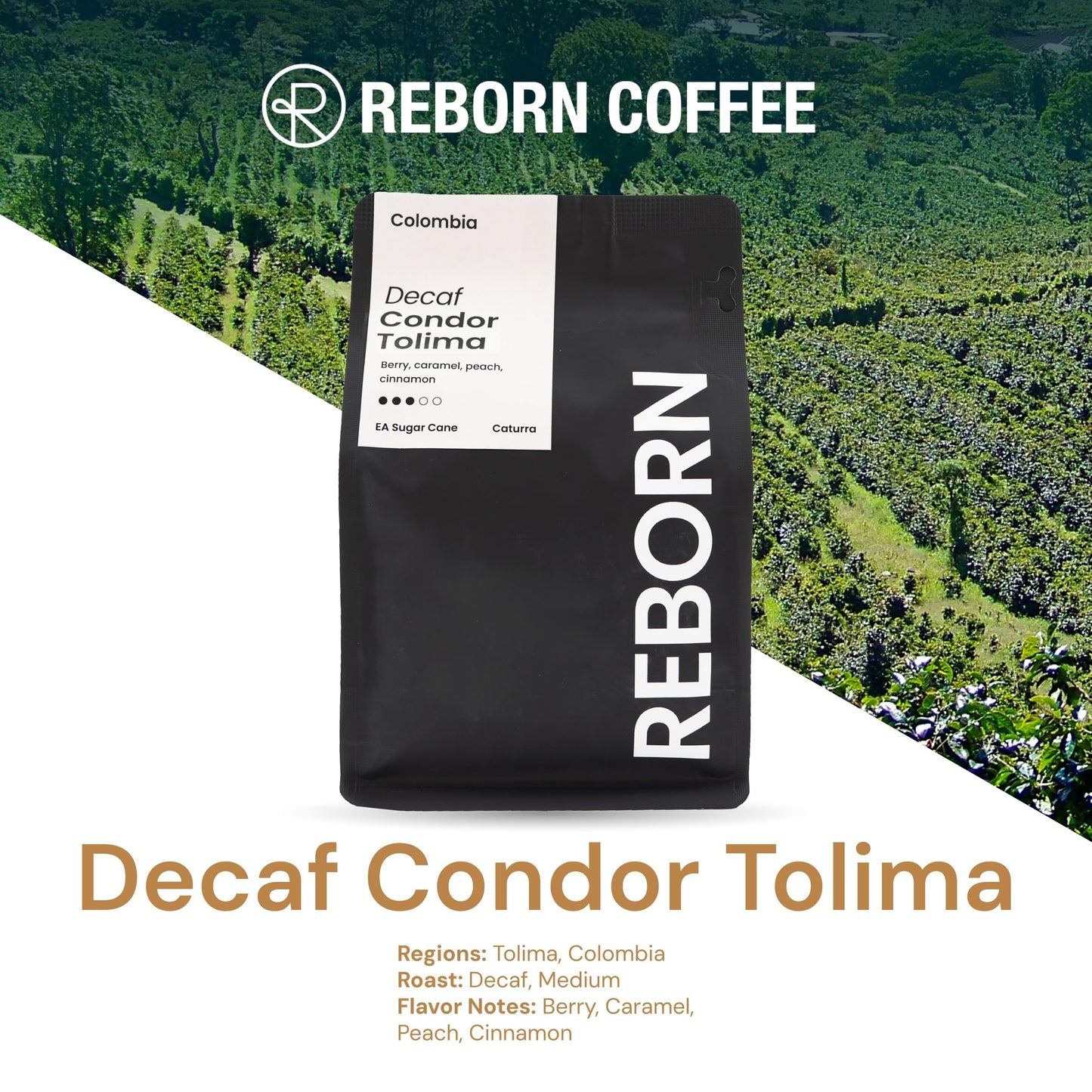 Reborn Coffee Whole Bean Decaf Coffee, Medium Roast, 12 Ounce, Flavor Notes of Berry, Caramel, Peach, and Cinnamon