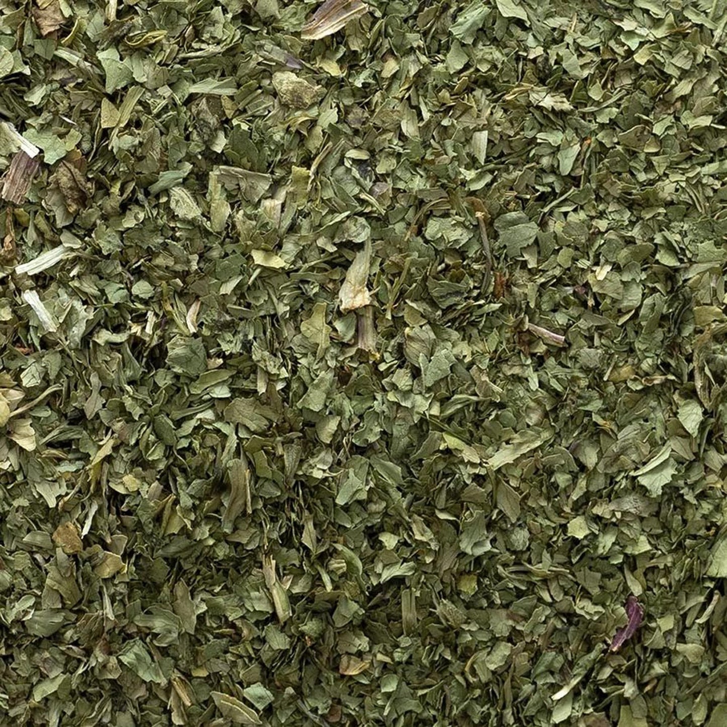 Frontier Co-Op Organic Cilantro Leaf, Cut & Sifted, 1Lb Bulk Bag - Dried Cilantro Seasoning - Perfect For Tea, Soups, Sauces, Sa