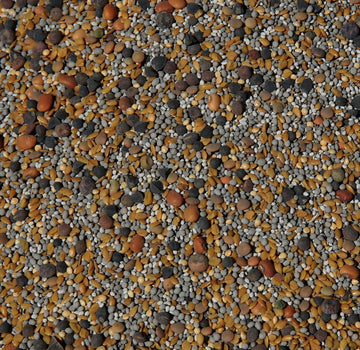 No-Till Solutions No-Till Cover Crop Seed Mix ½-lb Bag - 13-Seed Blend with Clovers, Fenugreek, Vetch, Cowpeas, and More