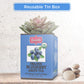 Brew La La Organic Green Tea - Natural Blueberry Flavor - 50 Double Chambered Bags - Low Caffeine - Blueberry Green