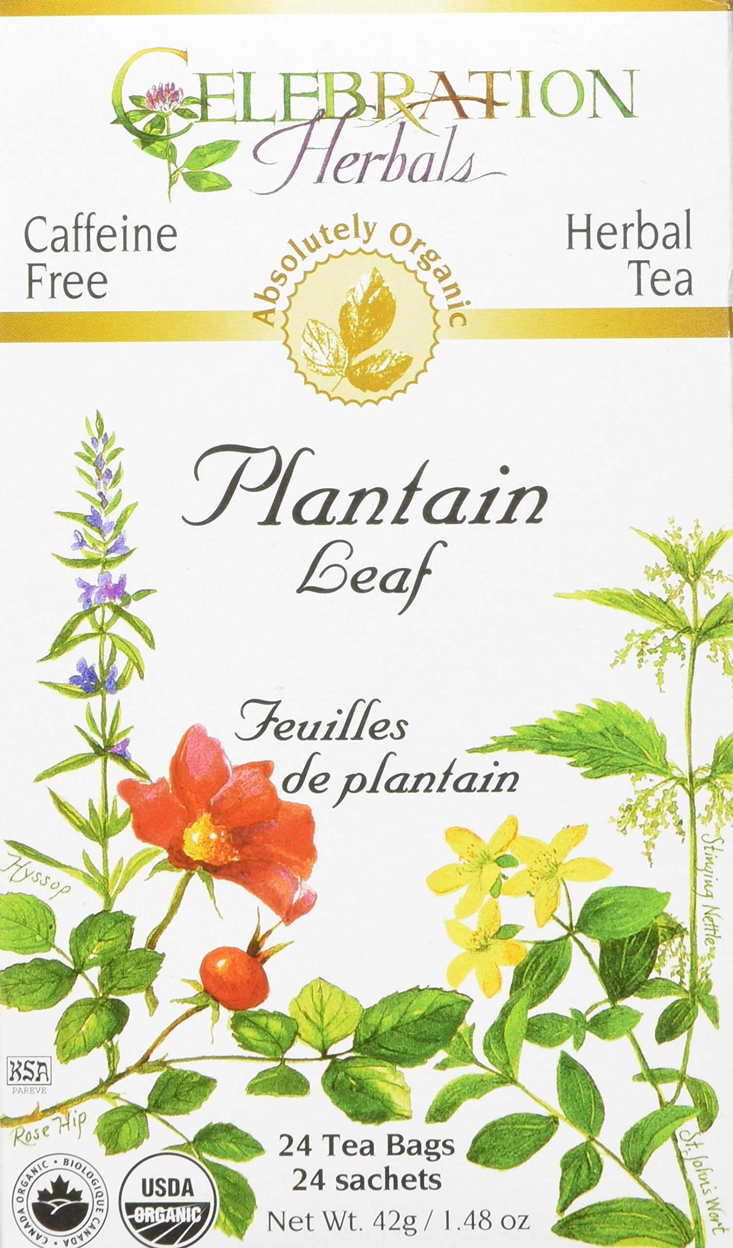 Celebration Herbals Plantain Leaf Organic 24 Bag, 0.02 Pound