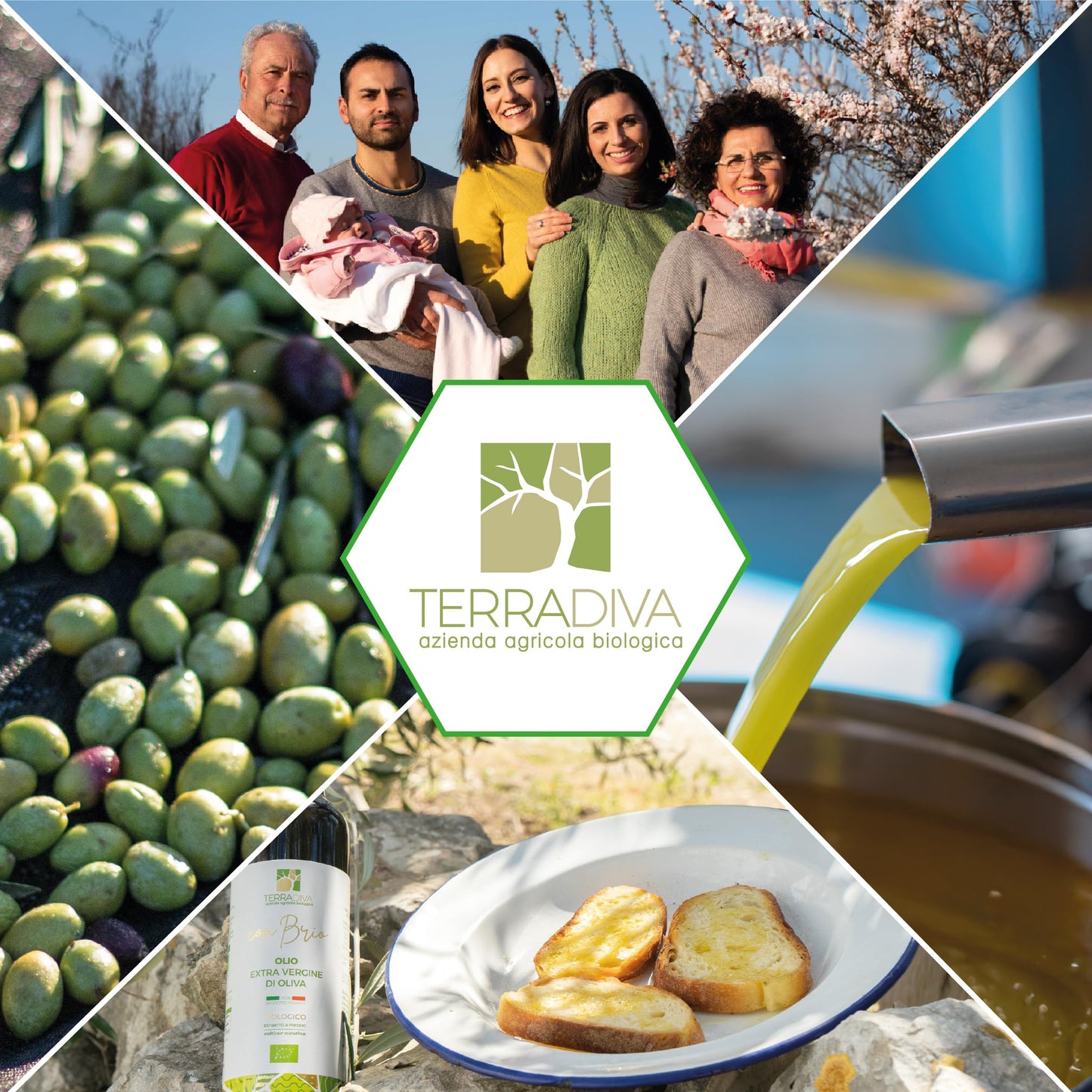 WellEatable Organic Extra Virgin Olive Oil, 16.9 fl oz, High Polyphenol, Early Harvest, Lab Tested, Cold Extracted, Green