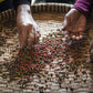 Kampot Pepper Organic Black Peppercorns 8 Ounce Pack