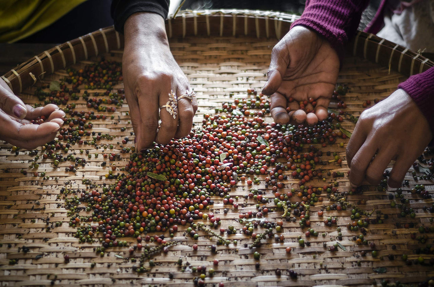 Organic Kampot Pepper Rare Cambodian Peppercorns Black 4 Ounce