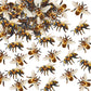 Cyodoos 40 PCS Edible Bumble bee Cupcake Toppers Wafer Paper Bumble Bee Party Drink Topper Decorations for Kids Girls Birthday B
