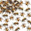 Cyodoos 40 PCS Edible Bumble bee Cupcake Toppers Wafer Paper Bumble Bee Party Drink Topper Decorations for Kids Girls Birthday B