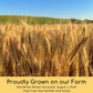 Hard Red Winter Wheat Berries | 15 Lbs | 3 Pack | Family Farmed In Washington State | Non-Gmo Project Verified | Kosher