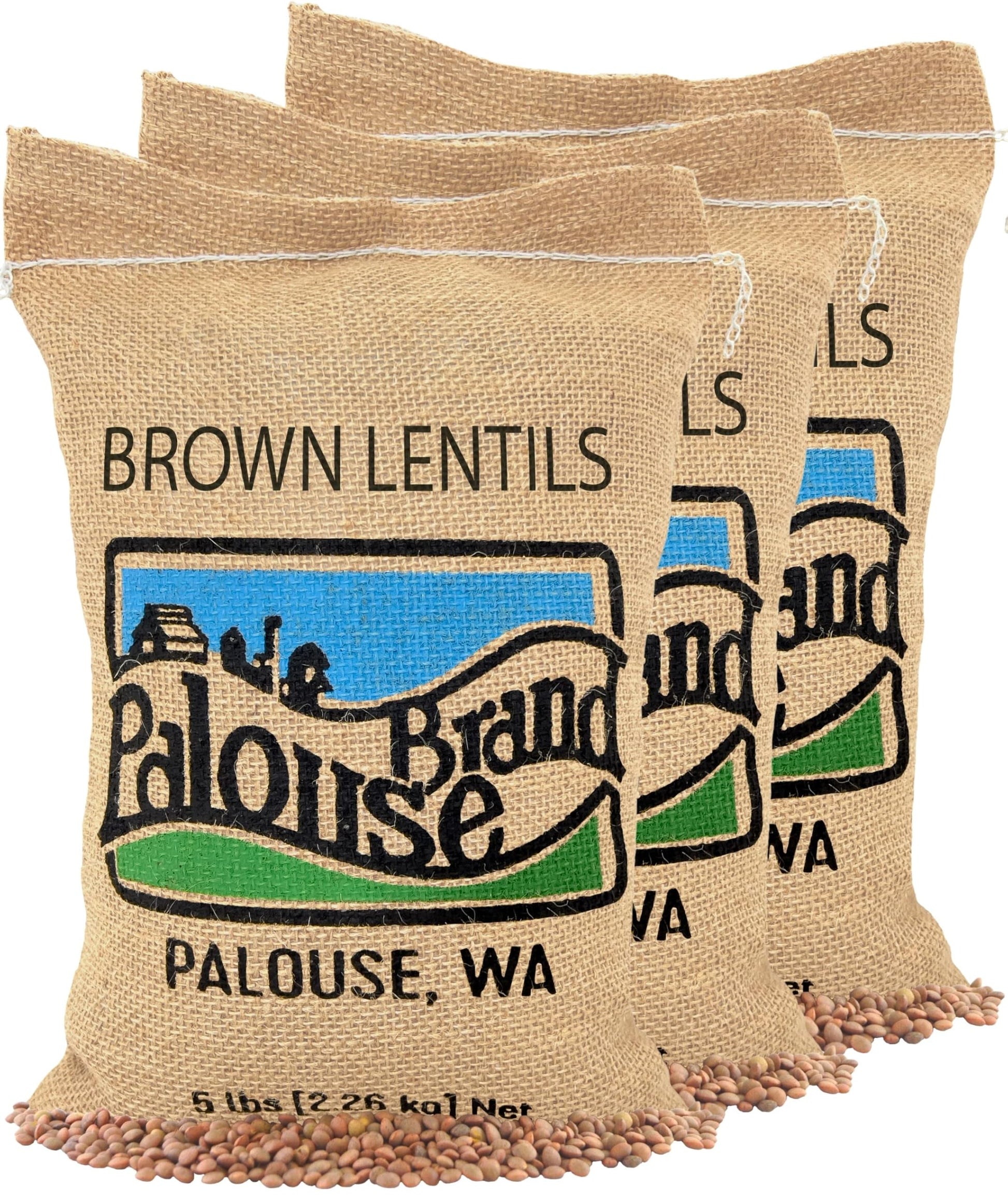 Small Brown Lentils | 15 Lbs | Family Farmed In Washington State | 100% Desiccant Free | Non-Gmo Project Verified | 100% Non-Irr