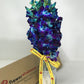 Eflowerwholesale - Premium Cut Blue Orchids (10 Stems Orchid With Rhinestone Mesh Ribbon Vase)