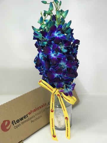 Eflowerwholesale - Premium Cut Blue Orchids (10 Stems Orchid With Rhinestone Mesh Ribbon Vase)