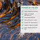 Vitaminsea Kelp Dried Seaweed | Vegan Certified Wild North Atlantic Kelp Digitata | Perfect For Thyroid Support | Rich In Amino