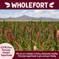 Puffed Quinoa Cereal + Nothing - Vegan - Gluten Free - Non-GMO - [1 LB] Try Quinoa Pops as Snacks - Cereal - Salad Topper for Su