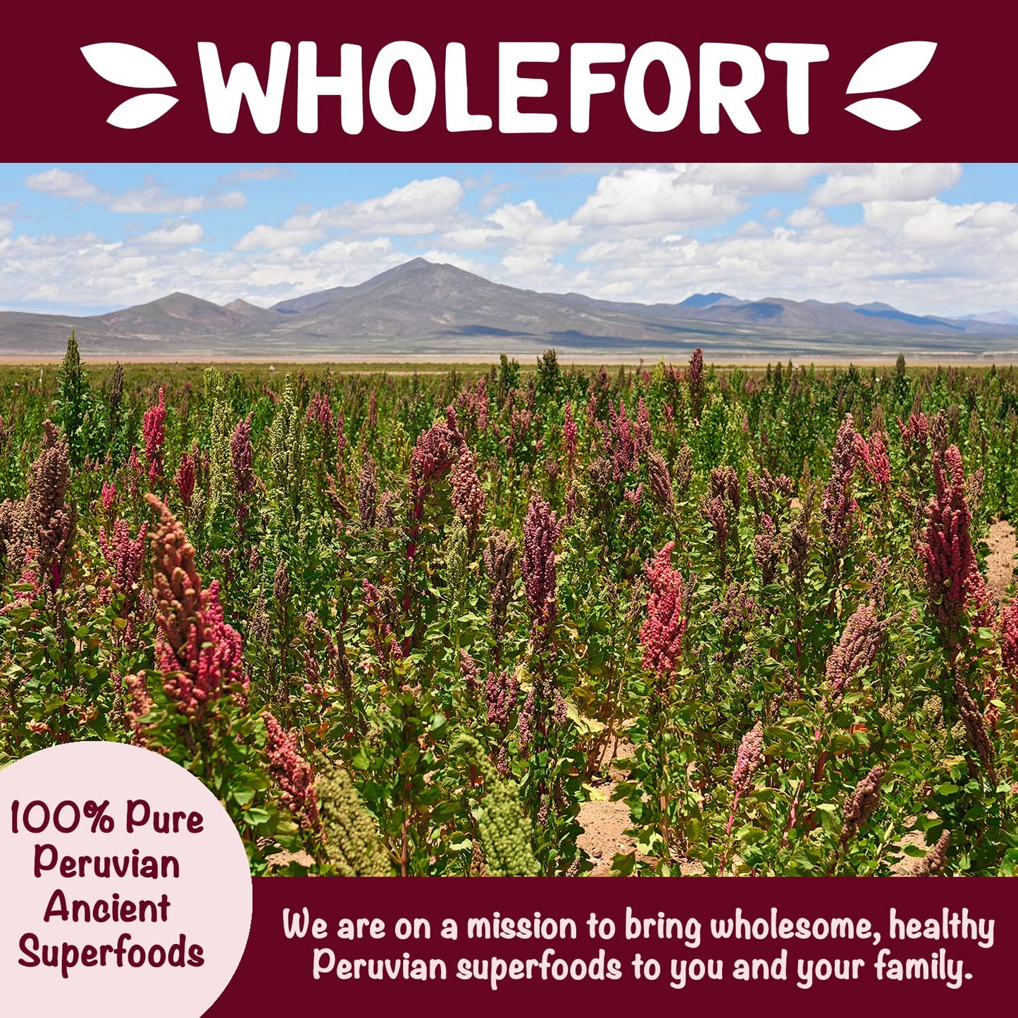Puffed Quinoa Cereal + Nothing - Vegan - Gluten Free - Non-GMO - [1 LB] Try Quinoa Pops as Snacks - Cereal - Salad Topper for Su