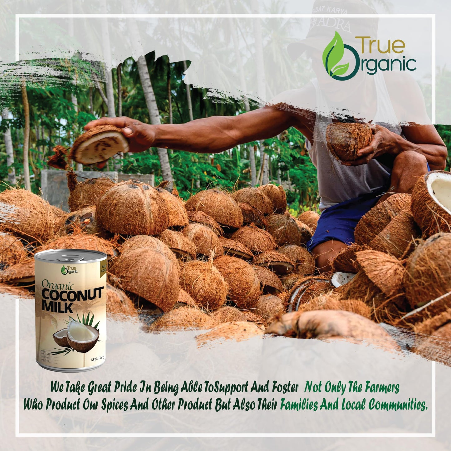 True Organic Unsweetened Coconut Milk 13.5 Fl oz - No Guar Gum  Gluten-Free  Vegan and Kosher - 18% Coconut Milk Fat (12-Pack)
