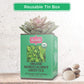 Brew La La Organic Green Tea - Moroccan Mint - 50 Count - Low Caffeine Gourmet Tea