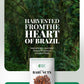 Baru Nuts 10 oz, Stand Up Pouch - 25g of Protein per 100g, Rich in Vitamins and Minerals - Natural Source of Energy and Well-Bei