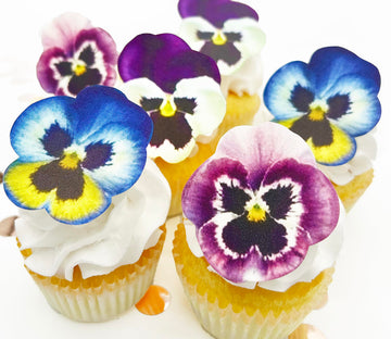 Sugar Robot Inc. Edible Pansies for Cake Decorating - Set of 12 - Small - 2.5 inches x 2.5 inches - Blue
