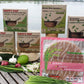 Vegan Gluten Free Happy Pho Meal Kit Shiitake Mushroom - 2 Servings, 4.5 Oz. Per Box, Case of 6 Boxes, Meal Kits, Pho Noodles Vi