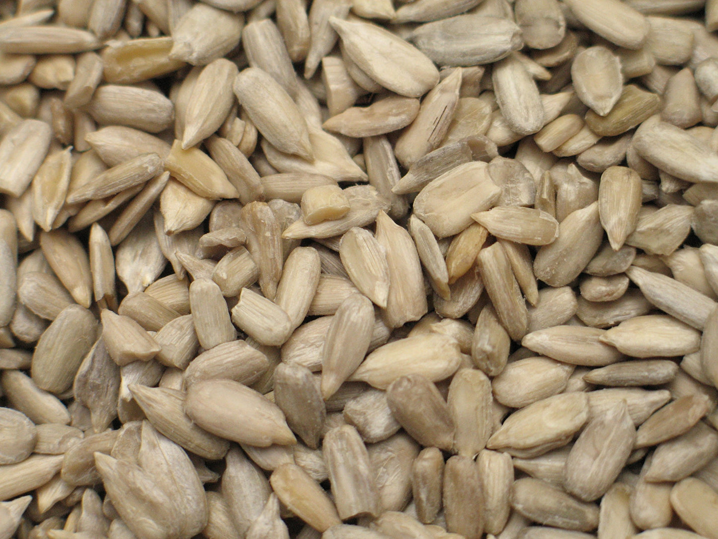 Yupik Organic Raw Shelled Sunflower Seeds, 2.2 lb (Pack of 2)