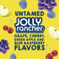 Popsicle JOLLY RANCHER Ice Pops 18 Count Candy Flavor Ice Pop For a Frozen Dessert Frozen Ice Pops With Only 35 Calories 29.7 oz