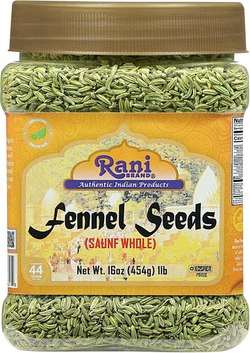 Rani Fennel Seeds (Saunf Sabut) Whole Spice 16Oz (1Lb) 454G Pet Jar All Natural Gluten Friendly Non-Gmo Vegan Indian Origin