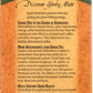The Mate Factor Organic Yerba Mate Tea Chai -- 20 Tea Bags