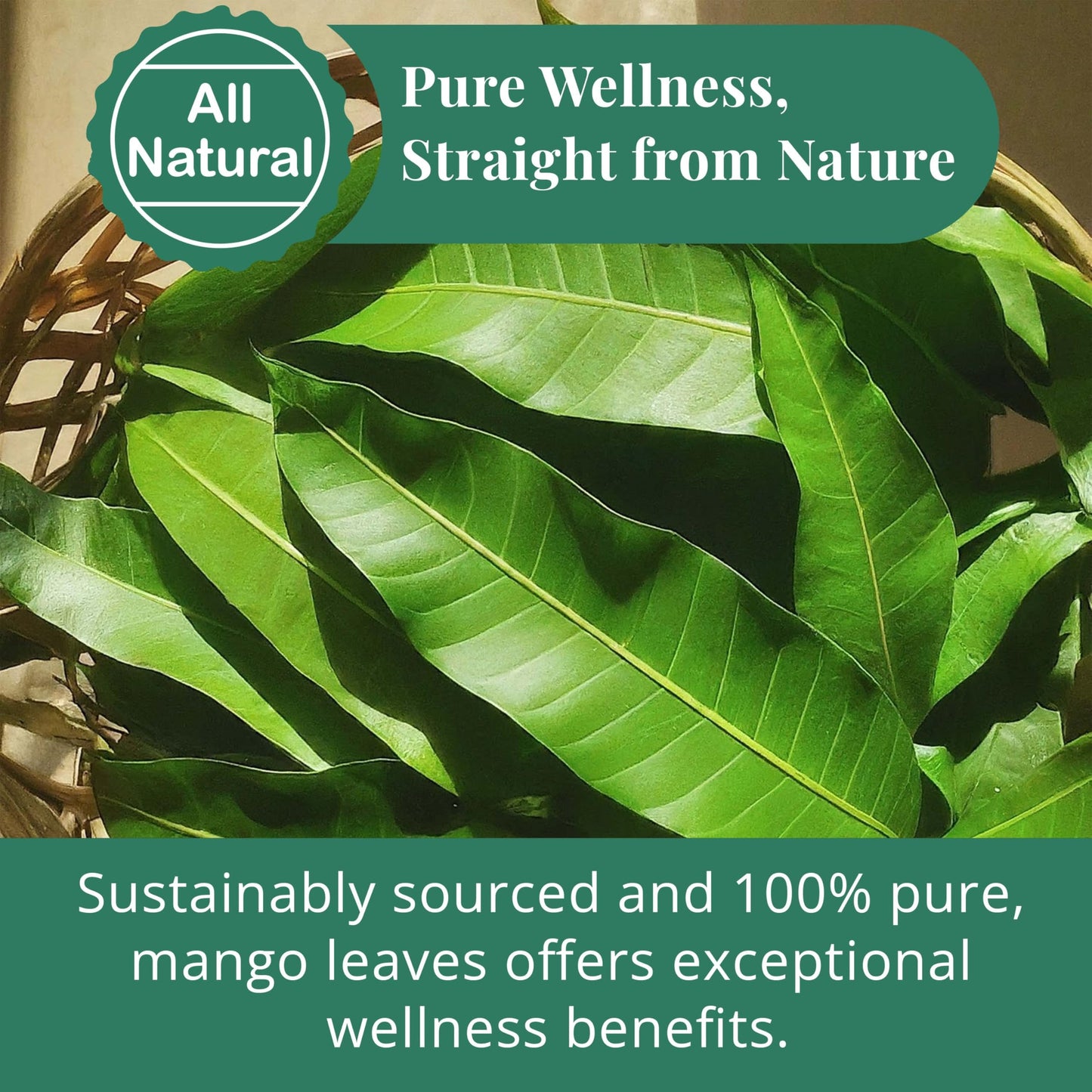 Akshit Dried Mango Leaves Loose Leaf Tea, Non-GMO, Caffeine-Free, 2.6oz