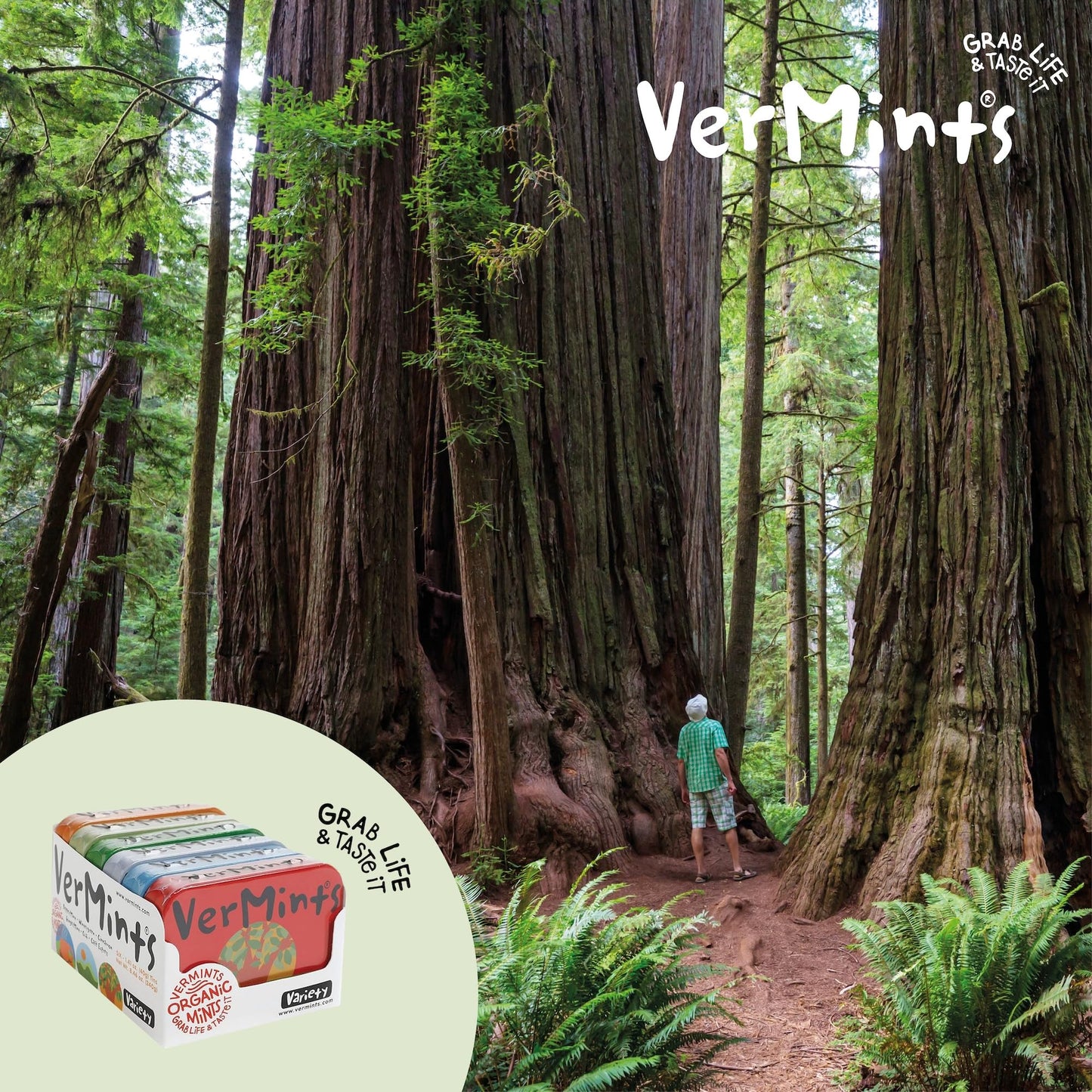 Organic Breath Mints By Vermints, Variety Pack With 6 Flavors, All Natural, Non-Gmo, Nut Free, Gluten Free, Vegan, Ksa Kosher, 1.41Oz Tins