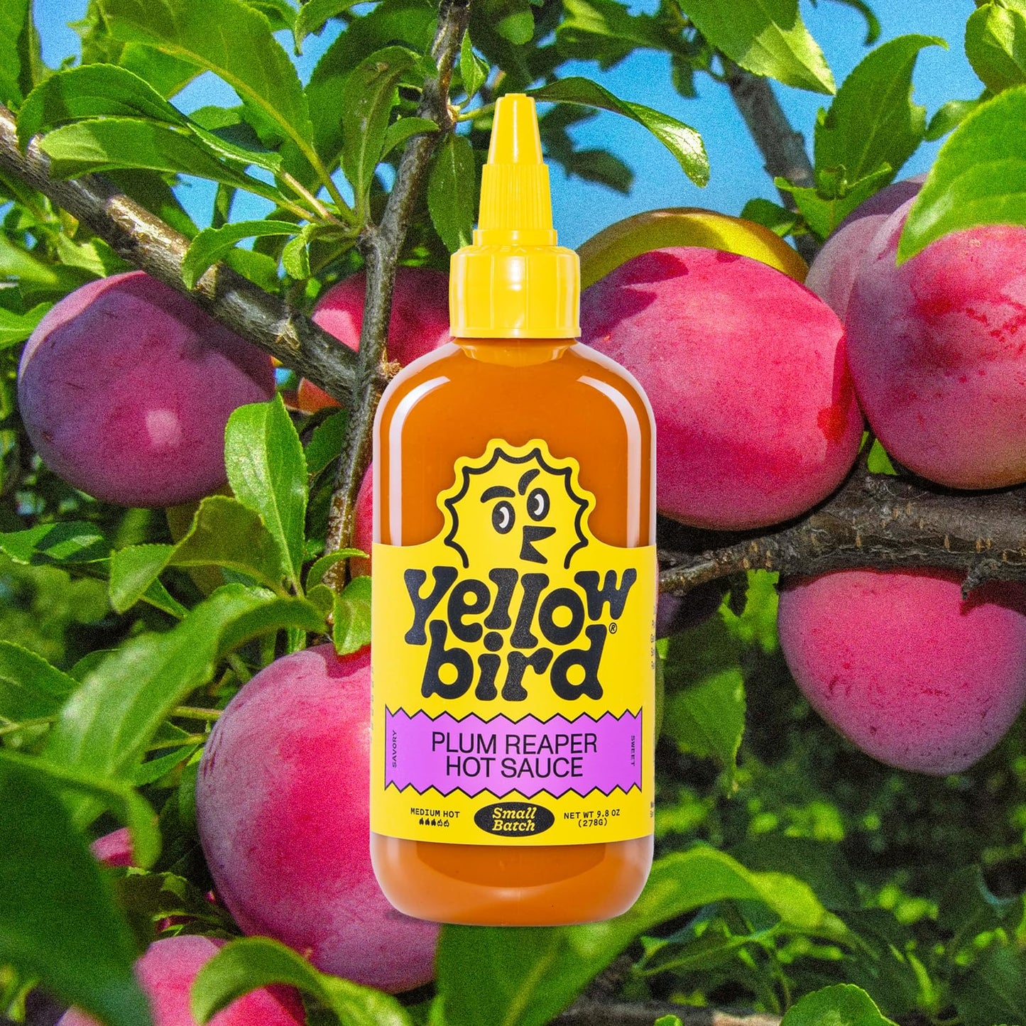 Yellowbird Small Batch Plum Reaper Hot Sauce 9.8 Oz. Pantry Size (Medium Hot | 1 Bottle | Made In Texas)