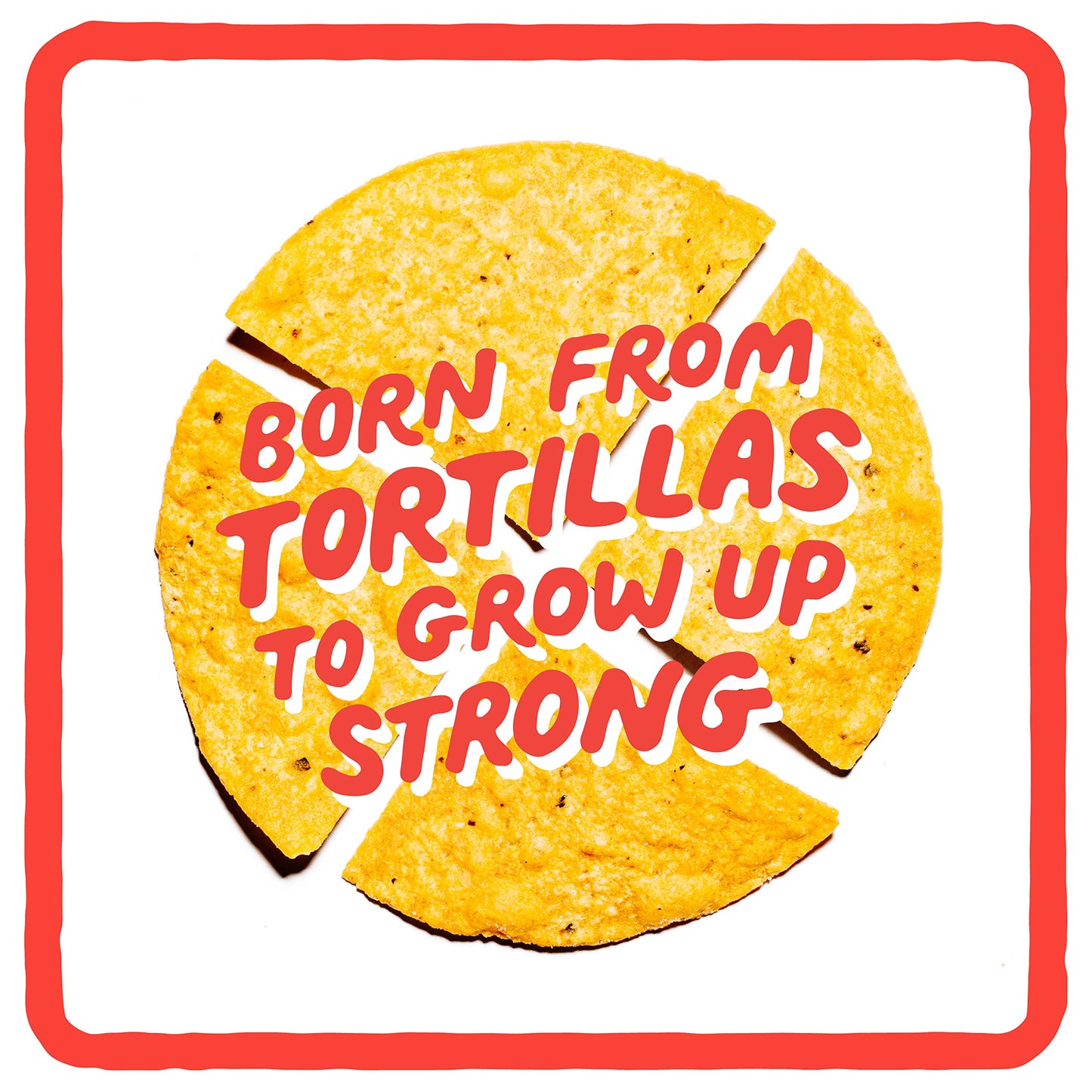 Zacks Mighty Organic Tortilla Chips, Non-GMO, Gluten-Free, Sturdy for Dipping, 9 Ounce Bag