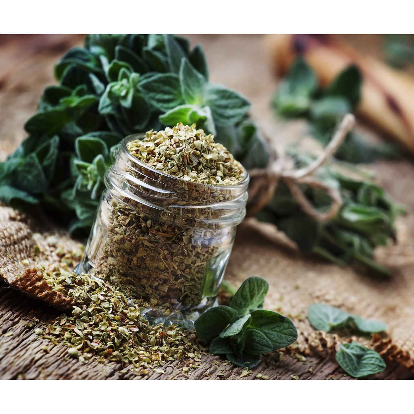 Cerez Pazari Oregano Leaves 5.3 Oz Premium Grade Bulk,%100 Natural, Freshly Packed, Non-Gmo, Gluten Free, No Preservatives, Easy