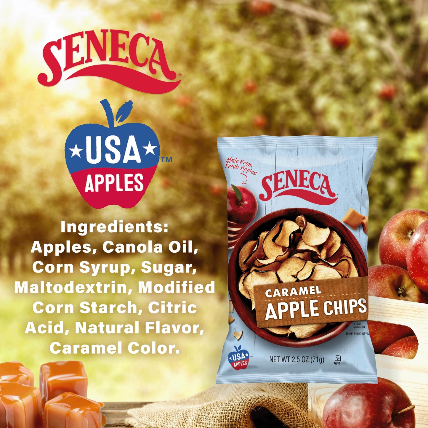 Seneca Caramel Apple Chips, 100% Red Delicious Apples, 2.5 oz (Pack of 12) - Crisped Freshness in Foil-Lined Bag