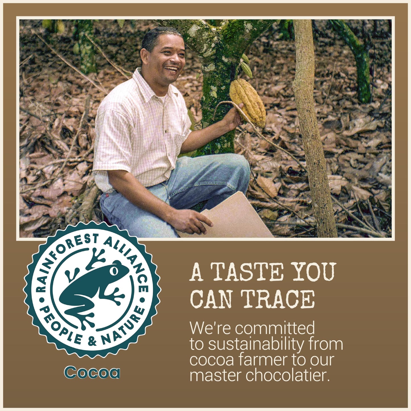 Chocolove Extra Strong Dark Chocolate Bars | 77% Cocoa | Strong & Smooth Belgian Dark Chocolate | Rainforest Alliance Certified,