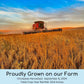 Certified Glyphosate Residue Free Chickpeas | Garbanzo Beans | 10 Lbs | Family Farmed In Washington State | Non-Gmo Project Veri