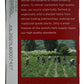 Traditional Medicinals Organic Echinacea Plus Elderberry Herbal Tea, Promotes Immune Function, (Pack Of 3) - 48 Tea Bags Total