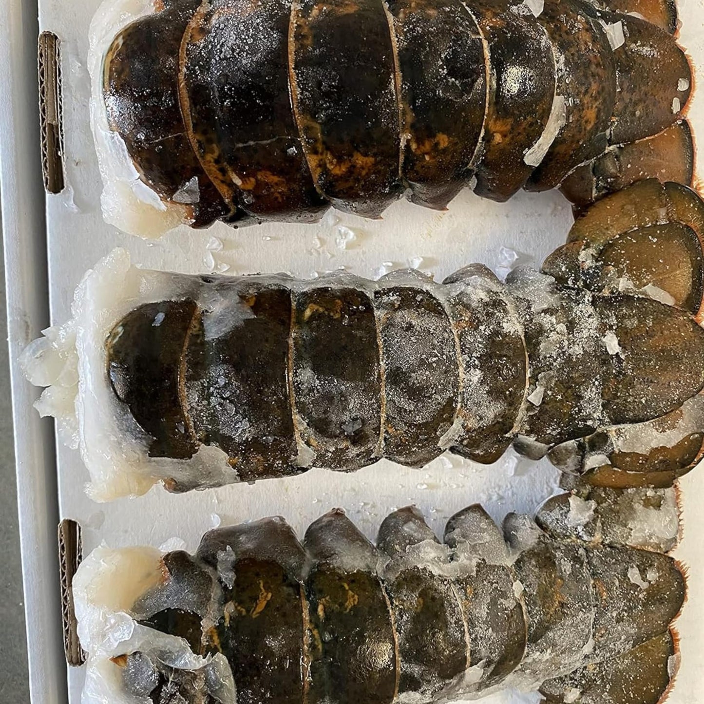 Today Gourmet Foods of NC Maine Lobster Tails (8oz-10oz) (12 Tails)