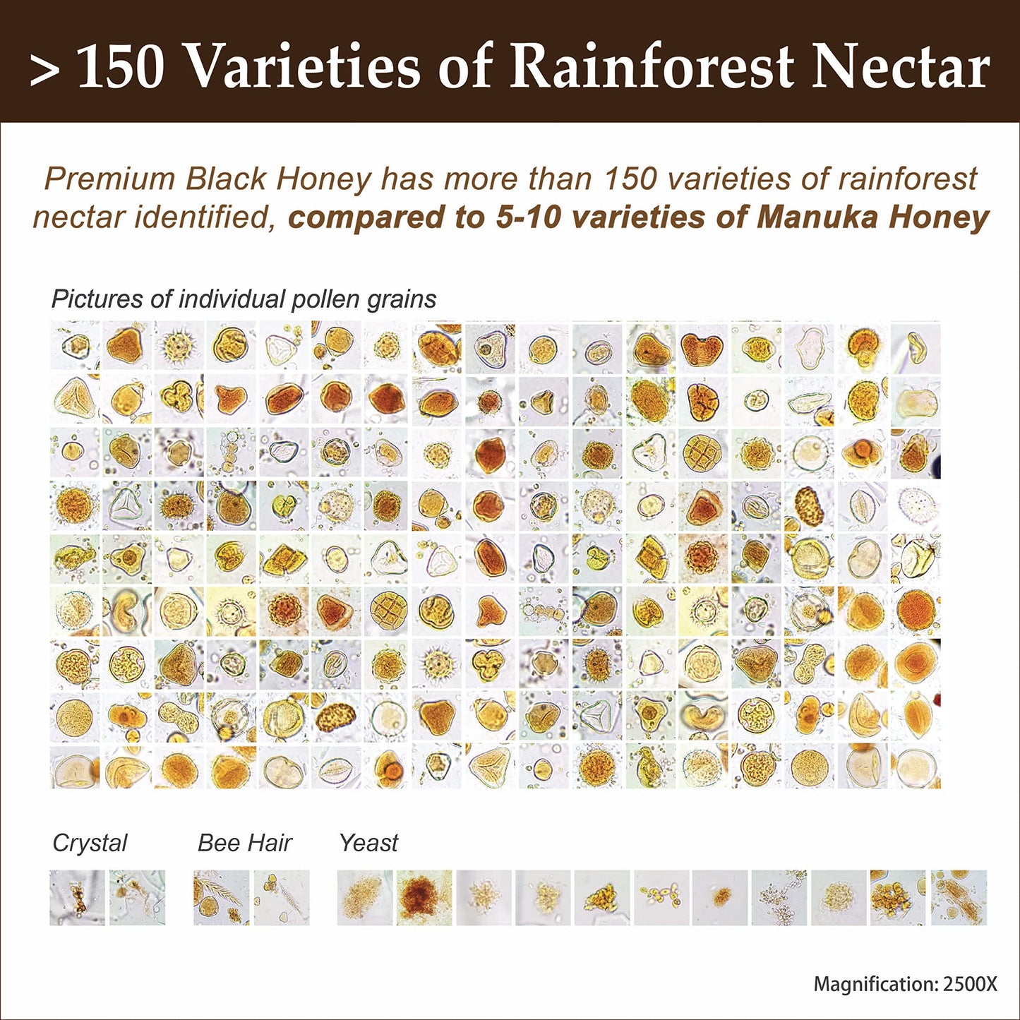 Enhanced Tualang Black Honey 13Oz (Ta 14+, Pollen Count 4.8M+, Pollen Variety 150+) Intense Choice For Men Preservation, Wild-Ripening On 250Ft Treetop, Raw, Unpasteurised, Unfiltered