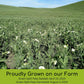 Certified Glyphosate Residue Free Green Split Peas | 15 Lbs | 100% Desiccant Free | Family Farmed In Washington State | Non-Gmo