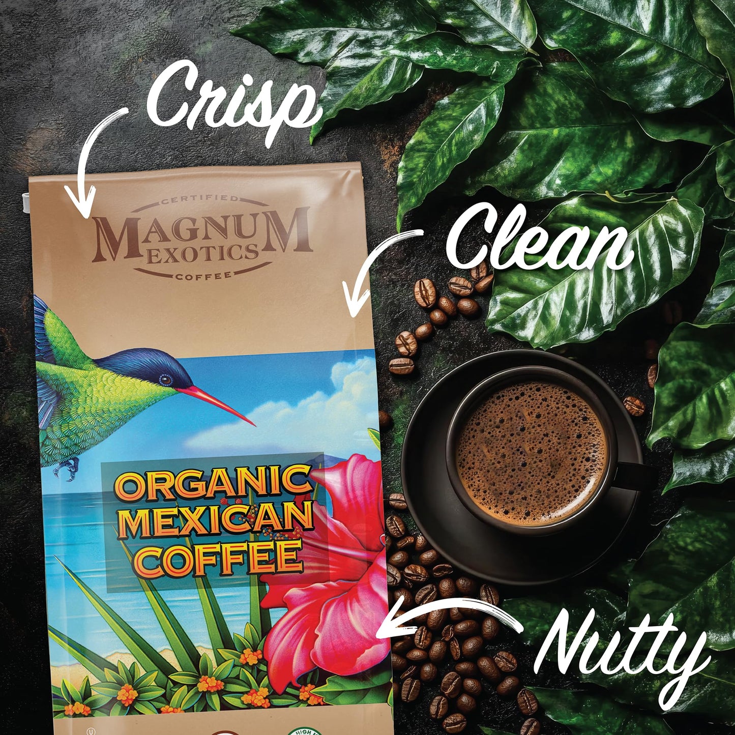 Magnum Exotics Organic Mexican Coffee - Medium Roast  Whole Bean  Low Acid  USDA Certified Organic - 2 lb (32 oz)