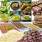 Premium 500Gr Dried & Shredded Kadayif+200Gr Pistachios Cream +280Gr Melting Chocolate, 3 Items For Dubai Chocolate, (Kataifi) F
