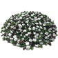 Assortit Chocolate Filled Mints - Bulk Hard Candies - 10 lbs - Individually Wrapped - Refreshing After Dinner Treat - White